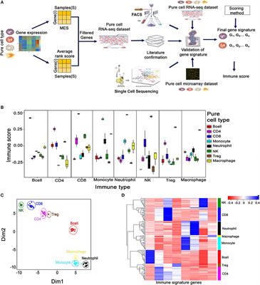 A Computational Approach Identifies Immunogenic Features of Prognosis in Human Cancers